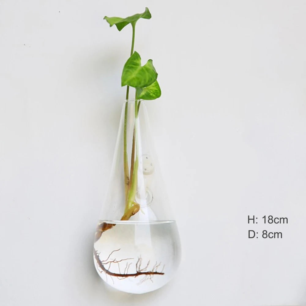 Avelena | Wandvase aus Glas