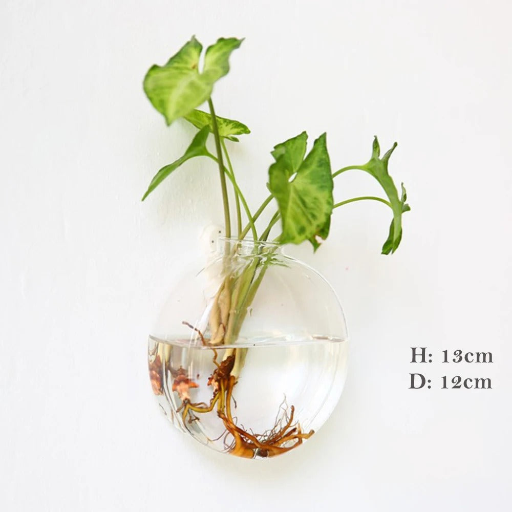 Avelena | Wandvase aus Glas