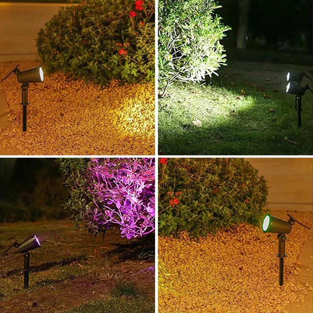 Avelena | Solar-powered LED garden spotlights | Weatherproof, adjustable & ideal for walkways, patios & outdoor areas