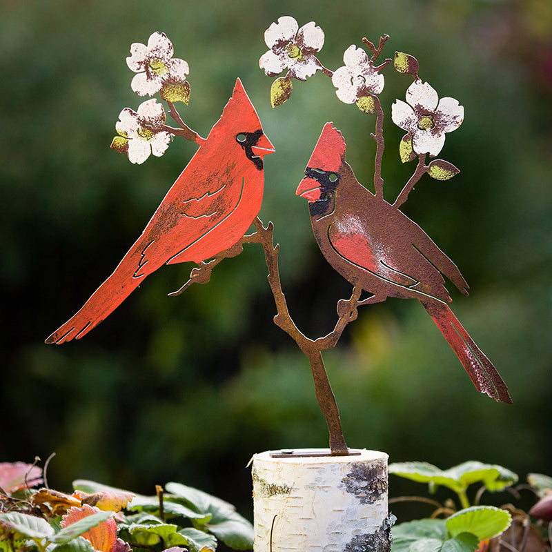 Avelena | Rote Vogel Schmuck aus Eisen