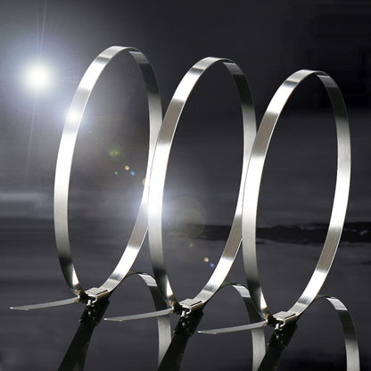 Avelena | Mehrzweck Edelstahl Selbstsperrende KabelbinderÔºå zum Wickeln, Zaun, Outdoor und Überdachung (100 Stück)