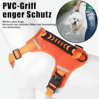 Avelena | Non-Pull Hundegeschirr für Haustiere