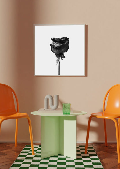 Avelena | Getrocknete Rose Schwarz-Weiß-Fotografie - Quadratisch
