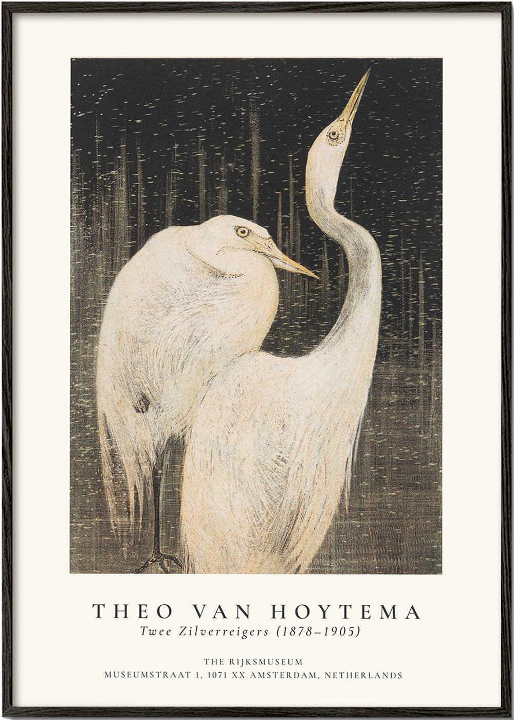 Avelena | Theo Van Hoytema, Zwei Silberreiher