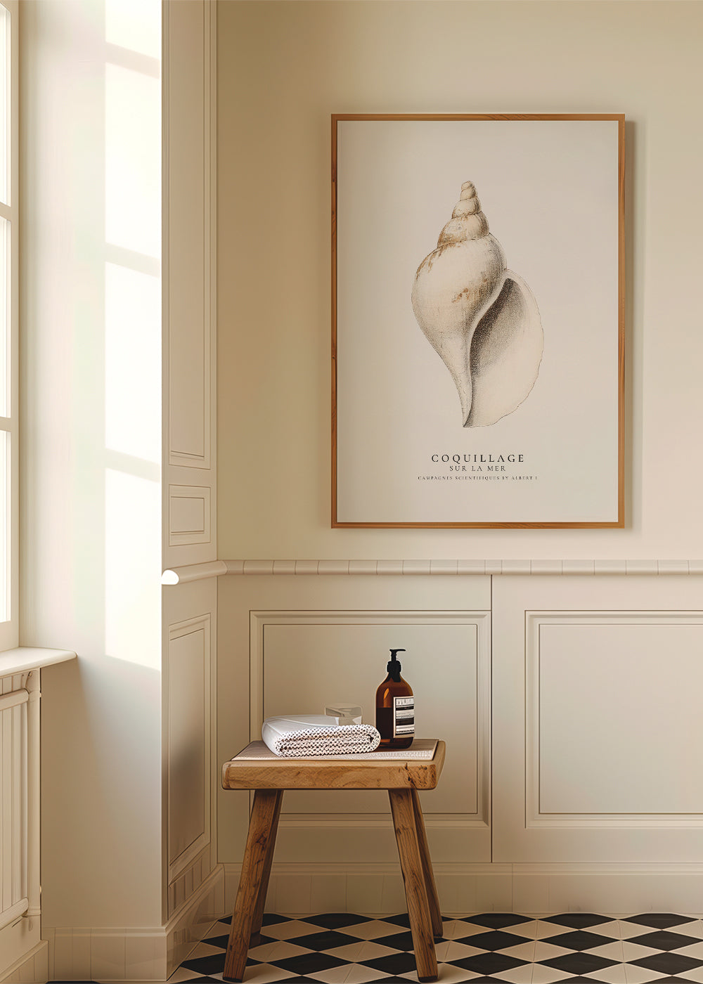 Avelena | Die Gastropodenschale - Coquillage - Sealife-Kollektion