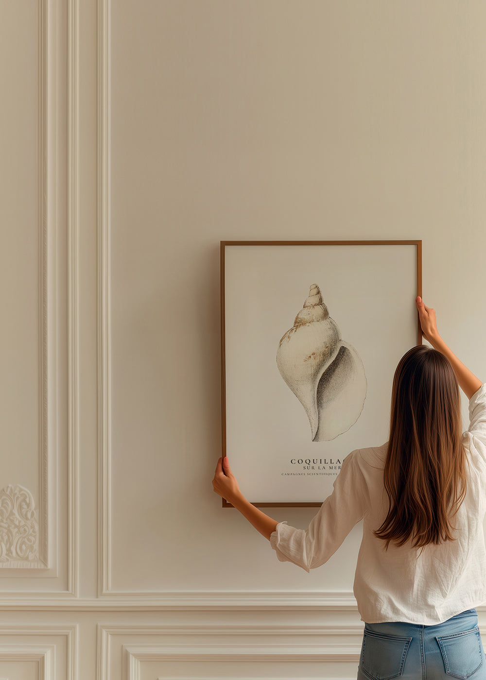 Avelena | Die Gastropodenschale - Coquillage - Sealife-Kollektion