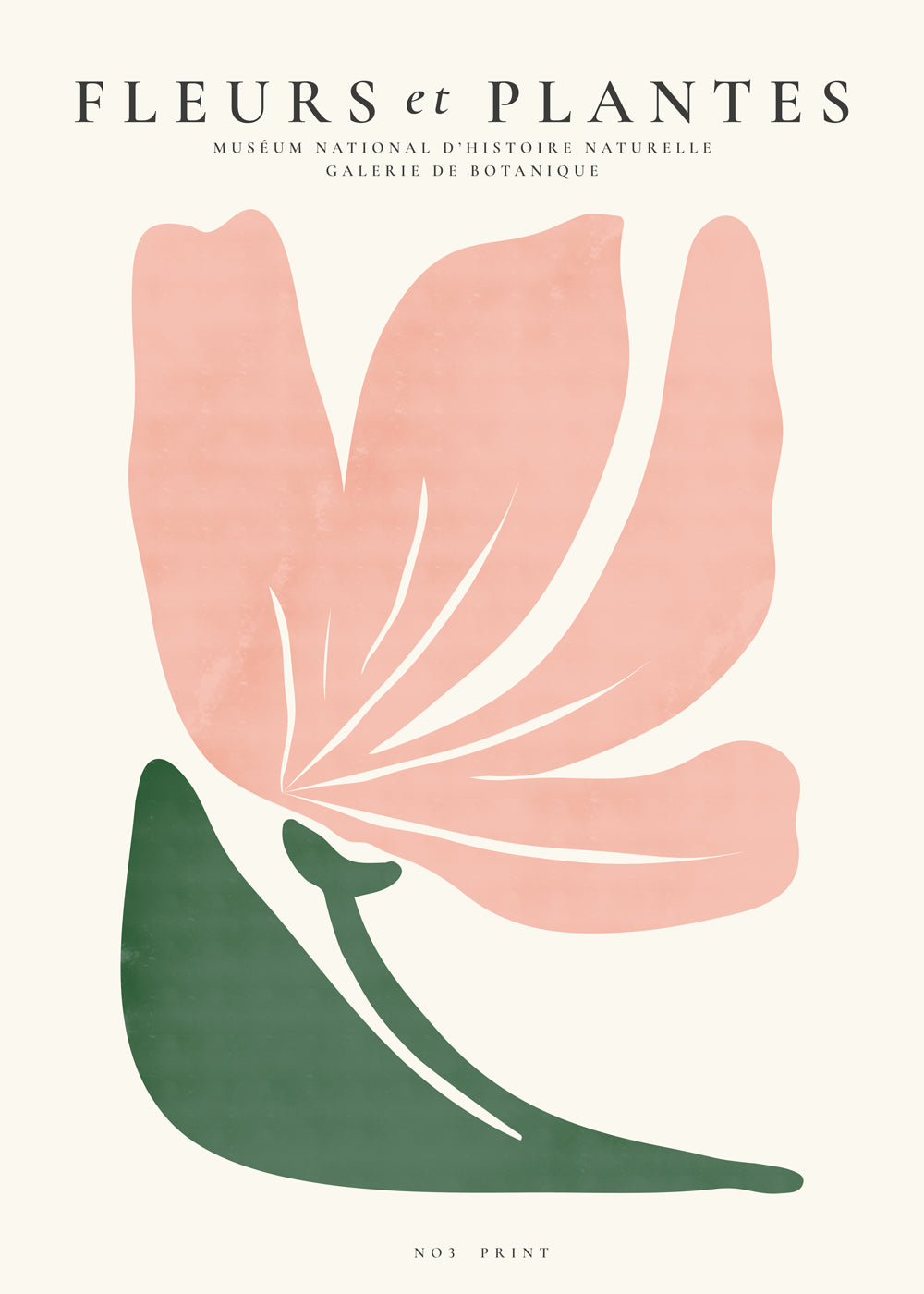 Avelena | Botanisch, Blumen Und Pflanzen - Poster Nr. 3