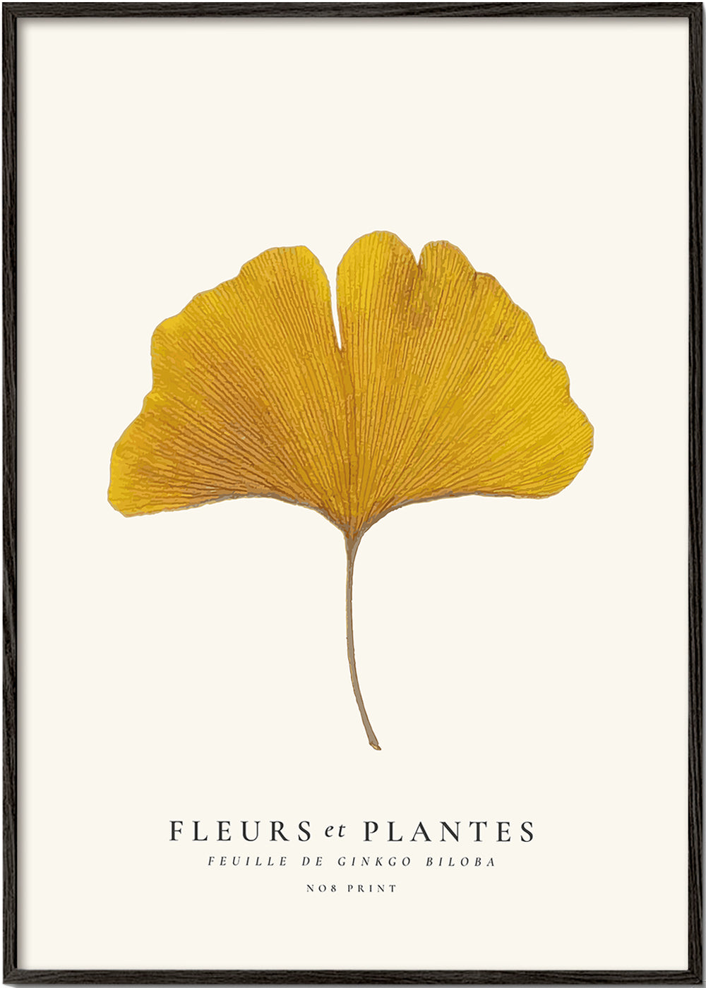 Avelena | Botanisch, Blumen Und Pflanzen -Ginkgo Biloba Blatt