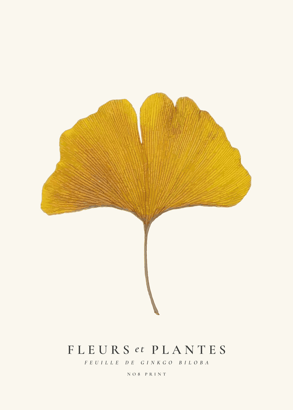Avelena | Botanisch, Blumen Und Pflanzen -Ginkgo Biloba Blatt