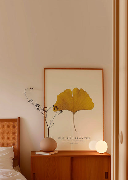 Avelena | Botanisch, Blumen Und Pflanzen -Ginkgo Biloba Blatt