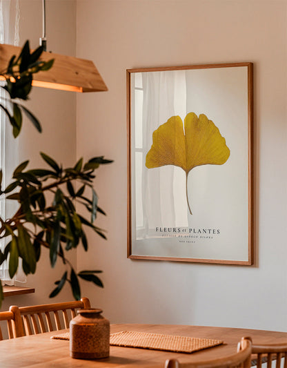 Avelena | Botanisch, Blumen Und Pflanzen -Ginkgo Biloba Blatt