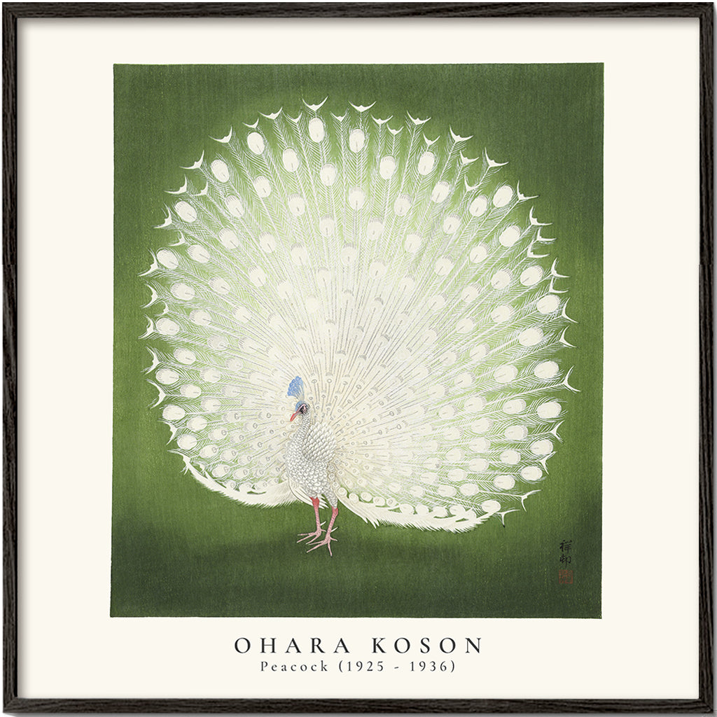 Avelena | Ohara Koson, Pfau - Quadrat