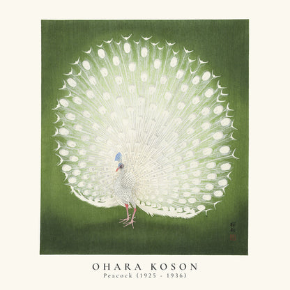 Avelena | Ohara Koson, Pfau - Quadrat