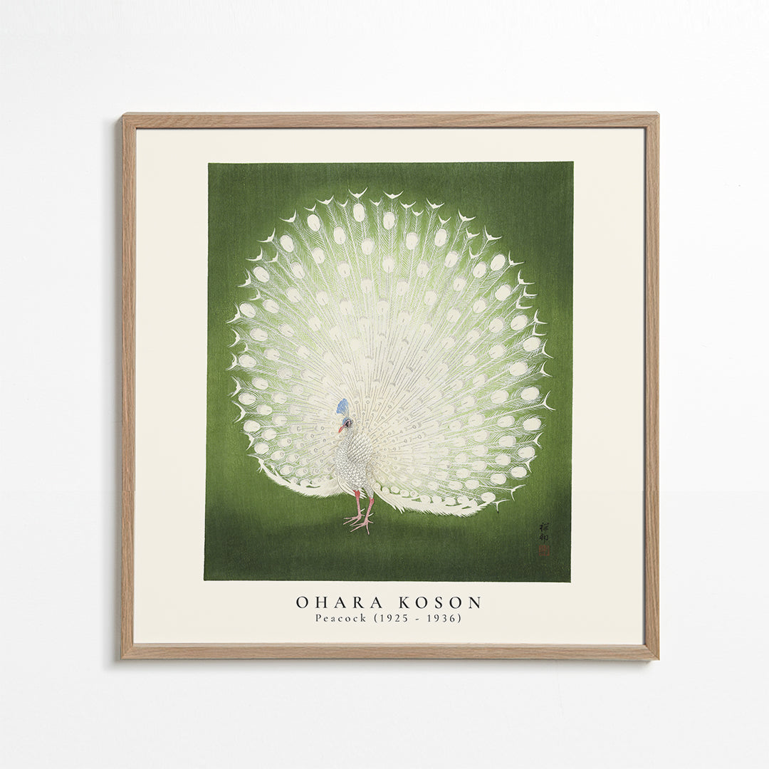 Avelena | Ohara Koson, Pfau - Quadrat