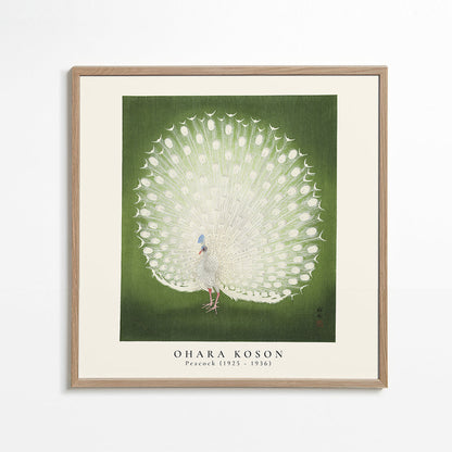 Avelena | Ohara Koson, Pfau - Quadrat