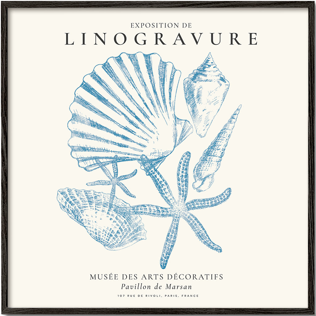 Avelena | Linolschnittausstellung, Sealife - Das Meeresleben - Quadrat