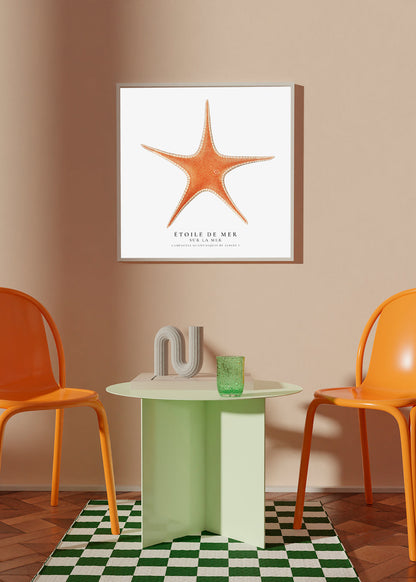 Avelena | Seestern - Toile De Mer - Sealife Kollektion - Quadrat