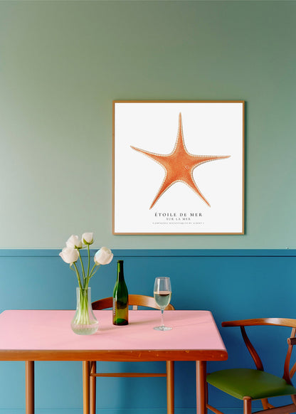 Avelena | Seestern - Toile De Mer - Sealife Kollektion - Quadrat