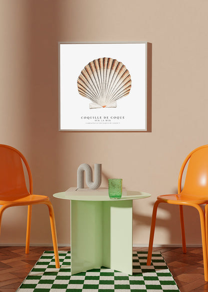 Avelena | Seashell - Muschel - Sealife-Kollektion - Quadrat