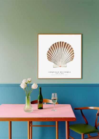 Avelena | Seashell - Muschel - Sealife-Kollektion - Quadrat