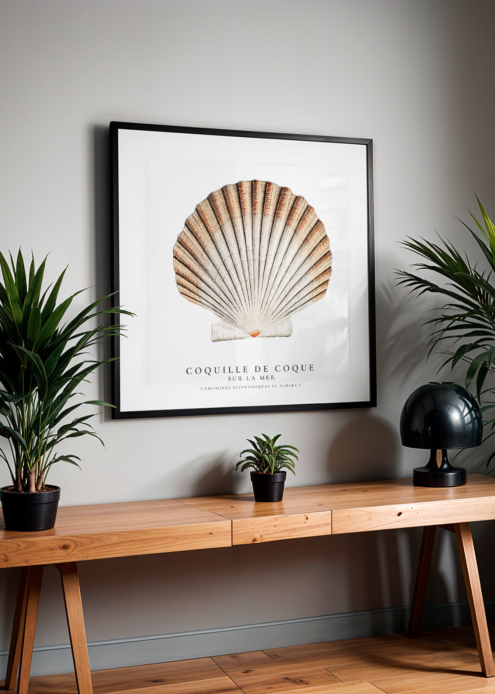 Avelena | Seashell - Muschel - Sealife-Kollektion - Quadrat