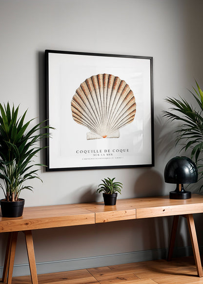 Avelena | Seashell - Muschel - Sealife-Kollektion - Quadrat