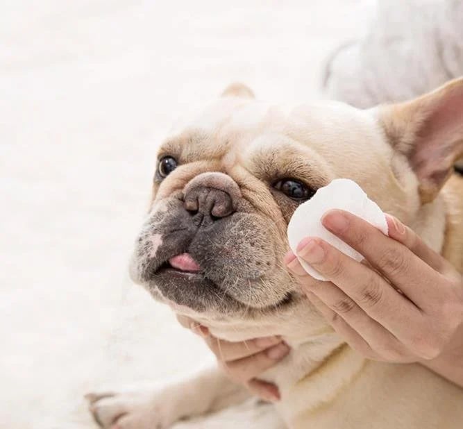 Avelena | AugeLeichtigkeit Entfernt sanft Flecken