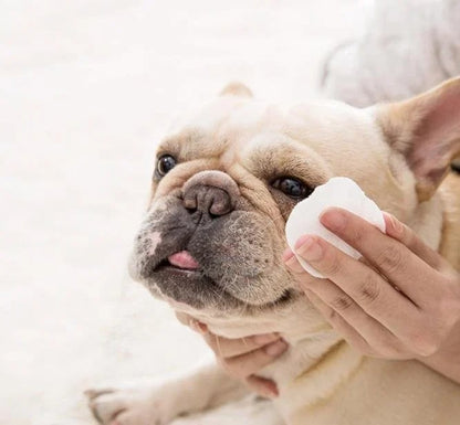 Avelena | AugeLeichtigkeit Entfernt sanft Flecken