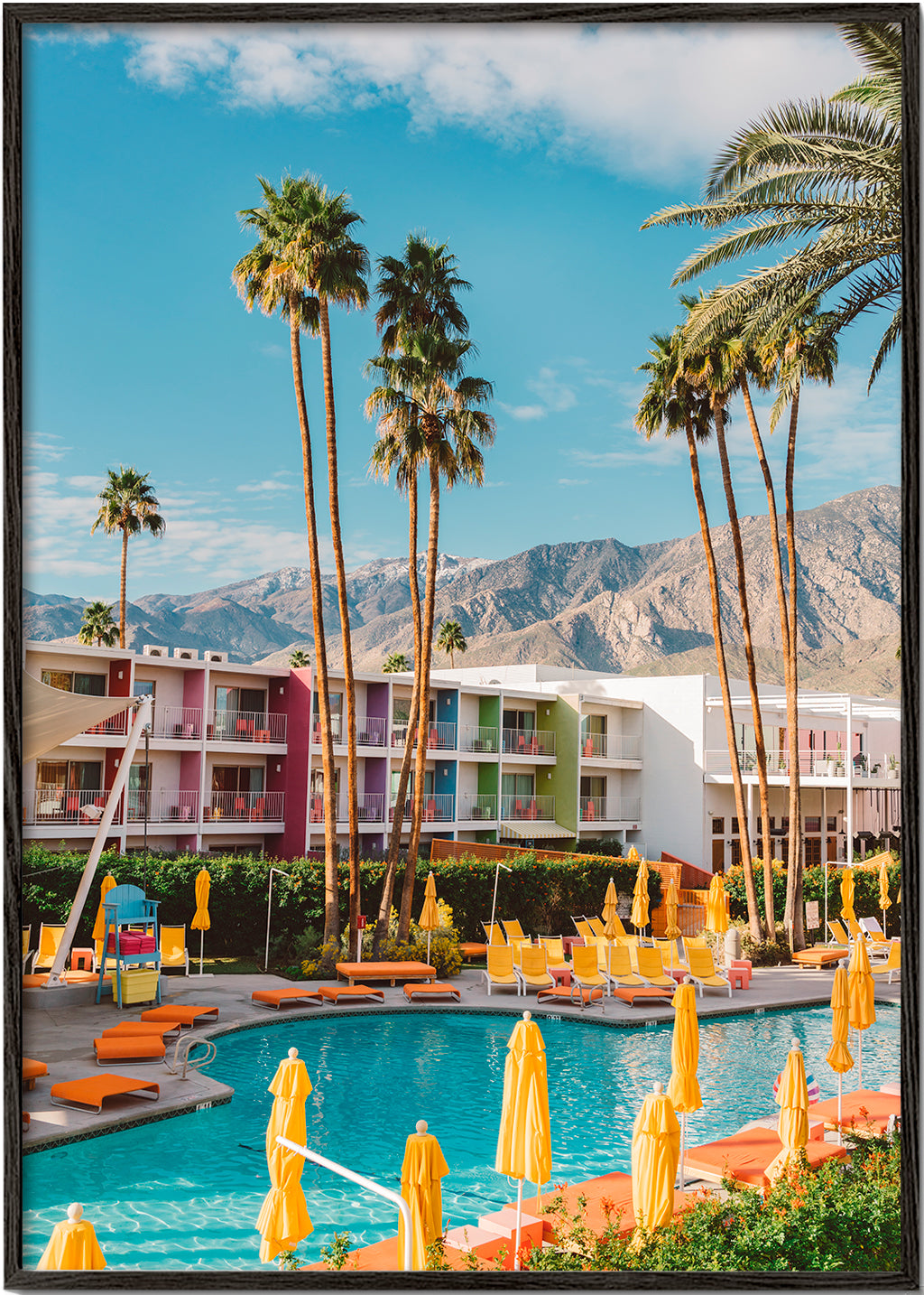Avelena | Palm Springs Saguaro - Bethany Young