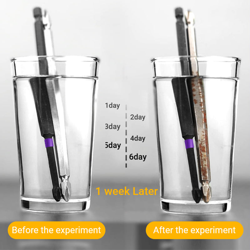 Avelena | D1 Anti-Rutsch- und Stoßfeste Bits mit Phillips-Schraubendreher-Bits