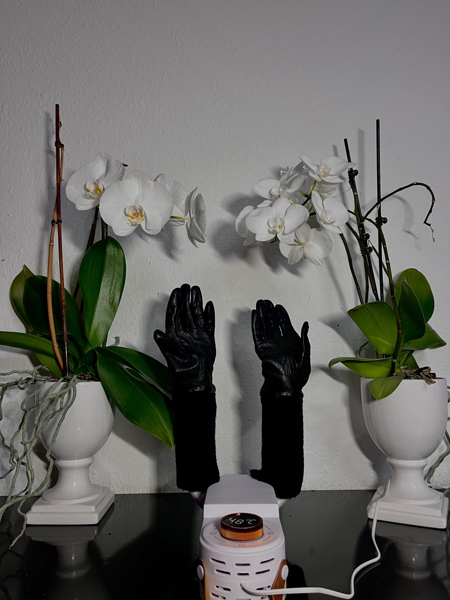 Avelena | DryKick Hygienische Schuhlösung