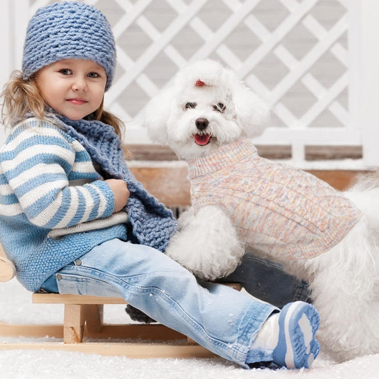 Avelena | Strickpullover für Kleine Hunde Perfekt für Kühle Jahreszeiten