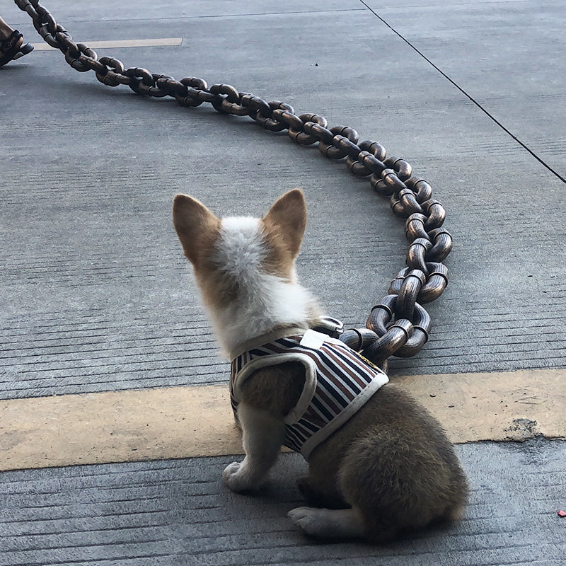 Avelena | Coole und Lustige Hundegeschirr Pawchic