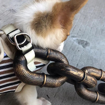 Avelena | Coole und Lustige Hundegeschirr Pawchic