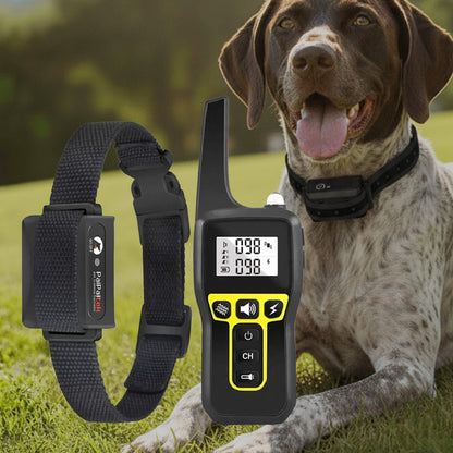 Avelena | 1000m wasserdichtes Hundetraining Halsband | Wiederaufladbar, Fernbedienung & verstellbar für kleine, mittlere und große Hunde