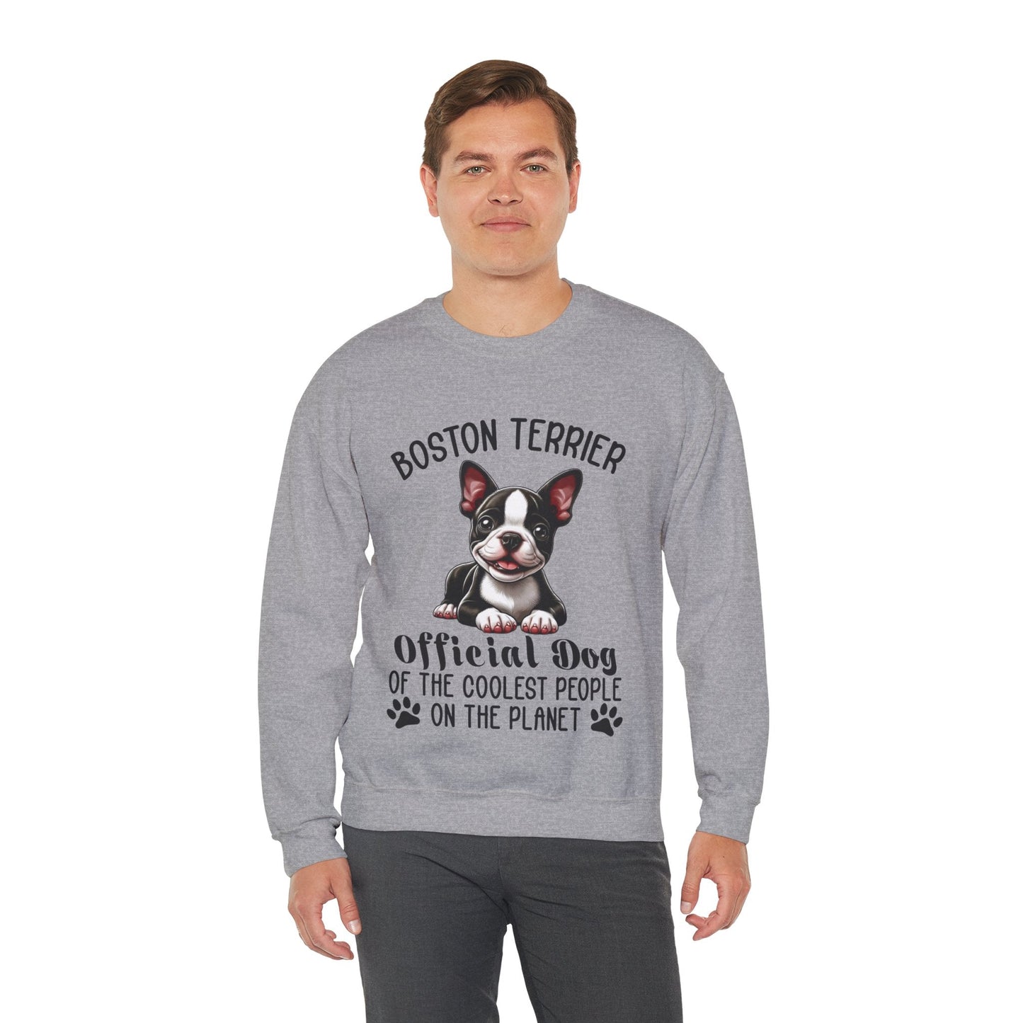 Avelena | Sinatra Unisex Sweatshirt Für Boston Terrier Liebhaber