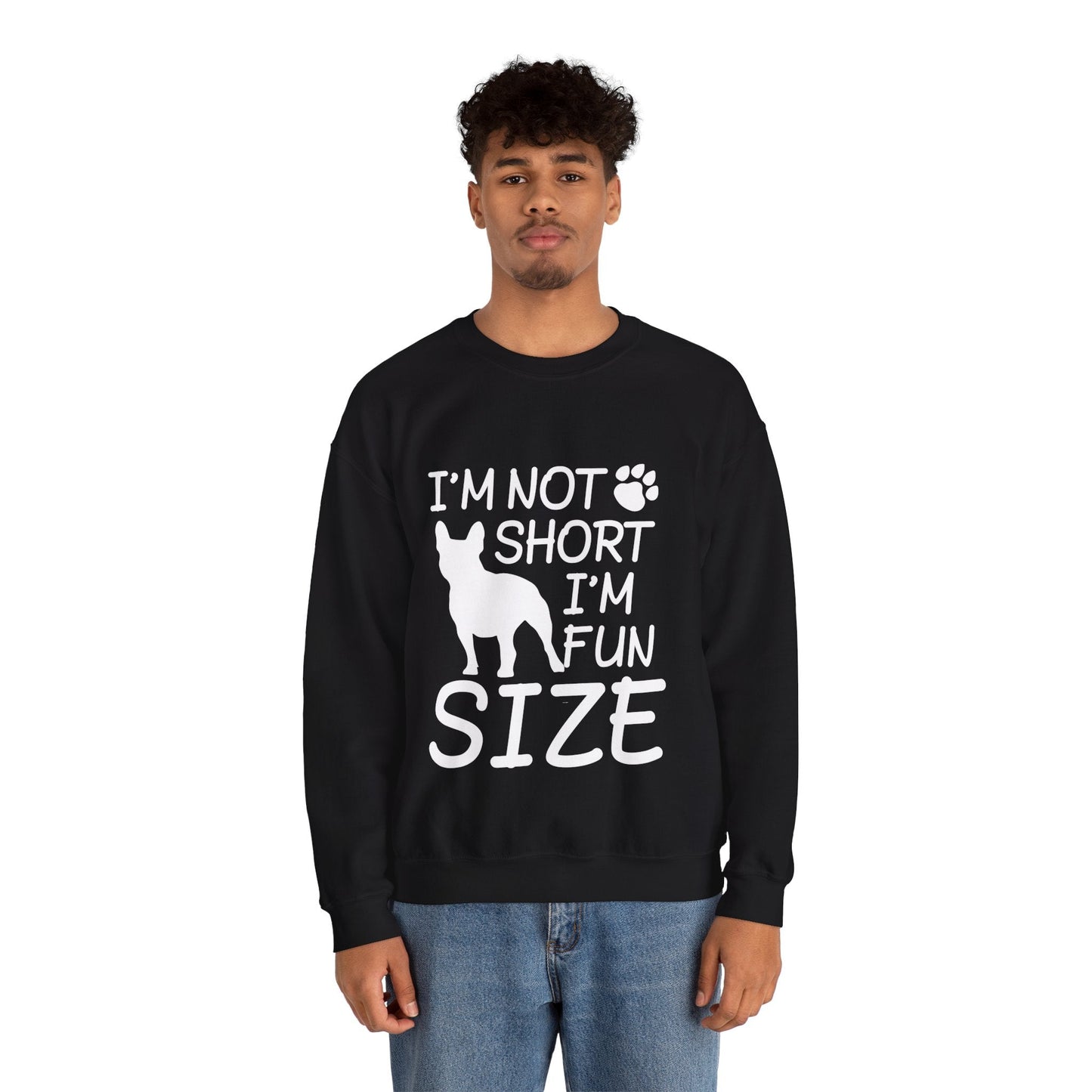 Avelena | Streifen Unisex Sweatshirt Für Boston Terrier Liebhaber