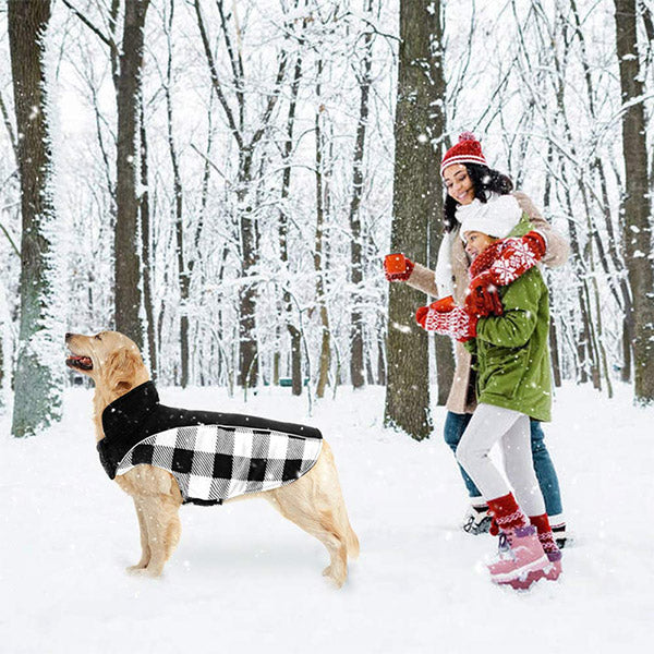 Avelena | Wendbare Schottenkaro Winterjacke für Hunde Klassisch und Warm