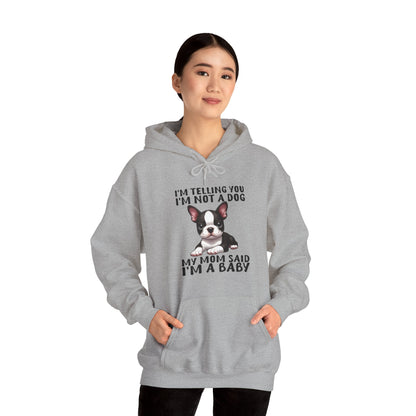 Avelena | Maya Unisex Hoodie Für Boston Terrier Liebhaber
