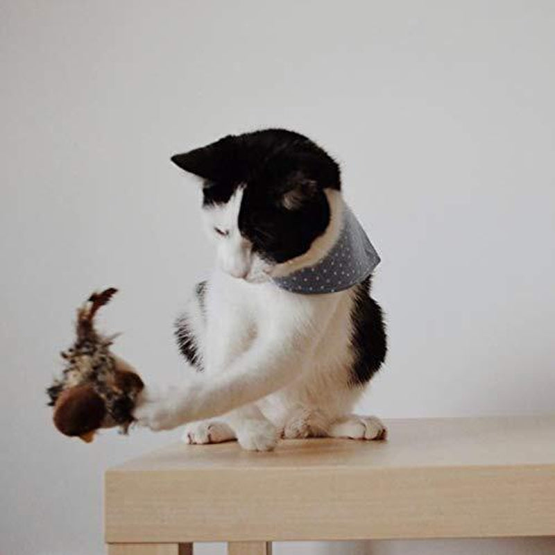 Avelena | Katzenspielzeug - Simulierter zwitschernder Vogel