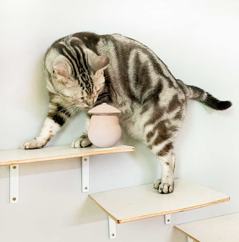 Avelena | Automatisches Laser-Infrarot-Katzenanreizspielzeug