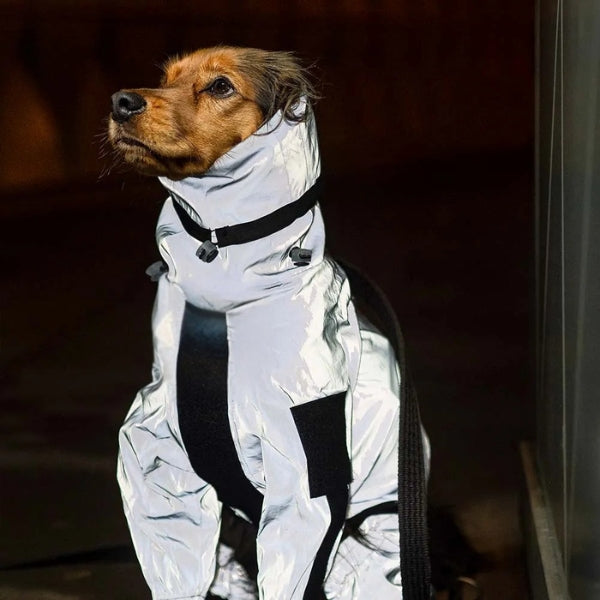 Avelena | Wasserdichter Hundemantel mit Beinen – Reflektierende Hunderegenjacke für kleine und große Rassen | Bester Regenmantel für Hunde UK