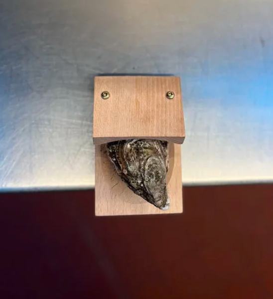 Avelena | Austernöffnungszange