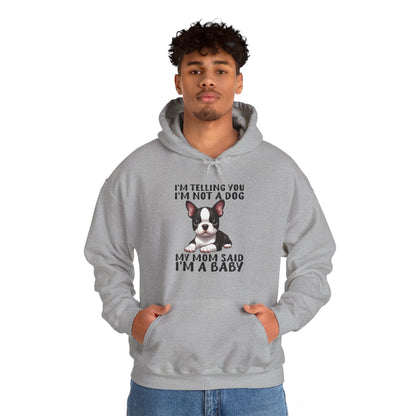 Avelena | Maya Unisex Hoodie Für Boston Terrier Liebhaber