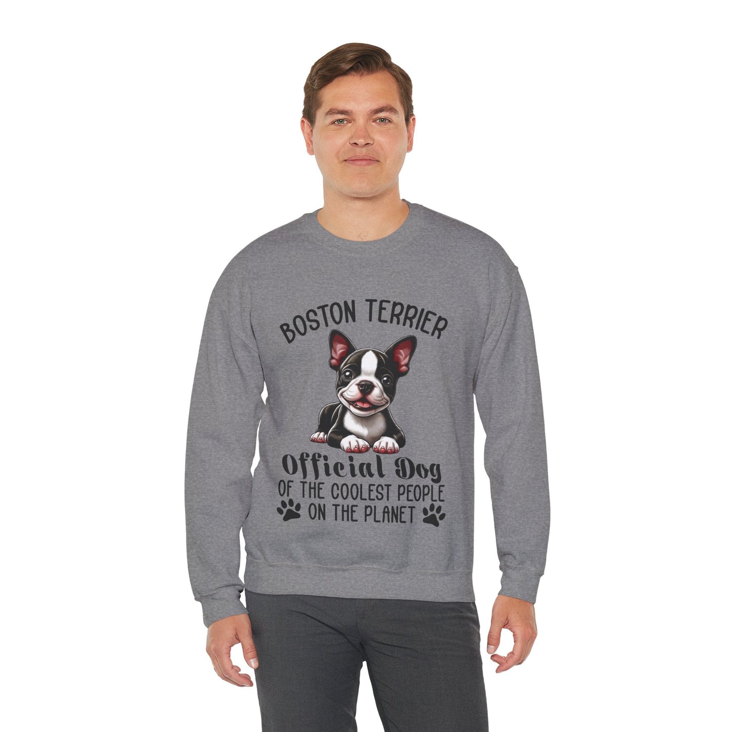 Avelena | Sinatra Unisex Sweatshirt Für Boston Terrier Liebhaber