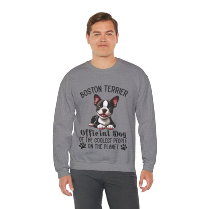 Avelena | Sinatra Unisex Sweatshirt Für Boston Terrier Liebhaber