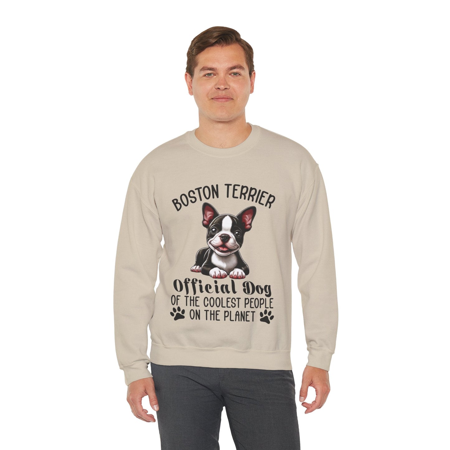 Avelena | Sinatra Unisex Sweatshirt Für Boston Terrier Liebhaber