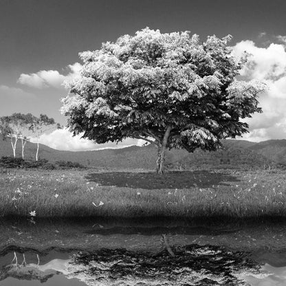 Avelena | Illustration Lakeside Tree Wandbilder Ganze Wand Kunst für Wohnzimmer, Personalisierte Größe