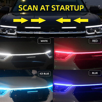 Avelena | Dynamisches Scan-Start-Up Hoodbeam-Kit