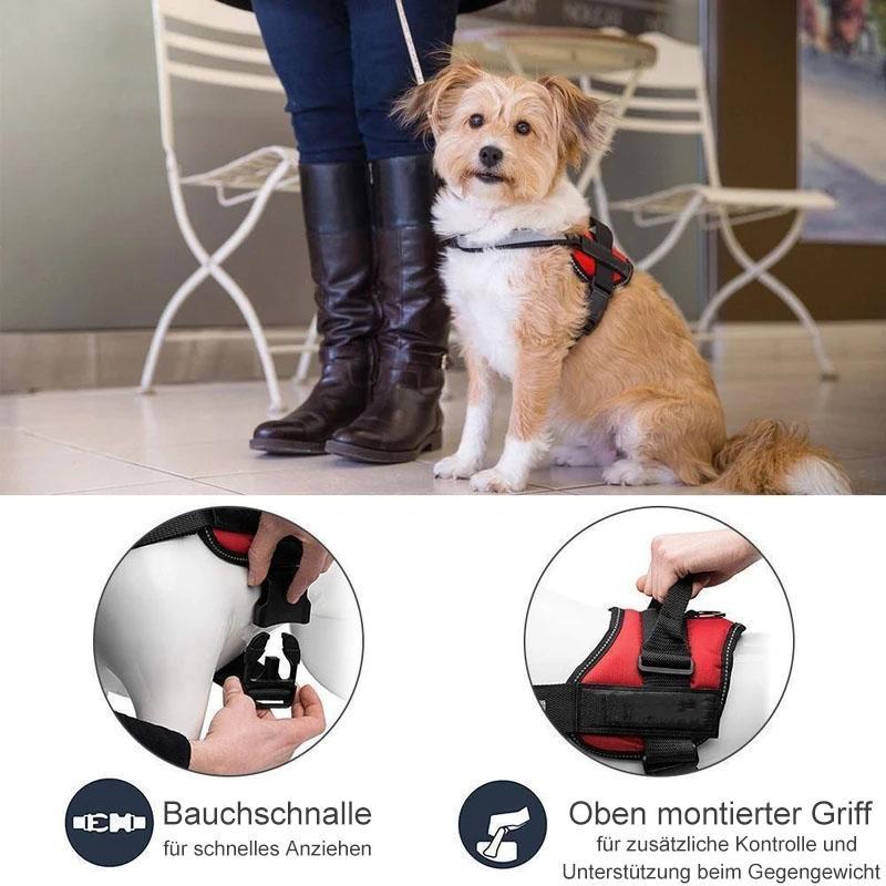 Avelena | Reflektierende all-in-one No Pull-Hundegeschirr